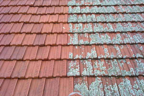 High Pressure Lichen Roof Clean