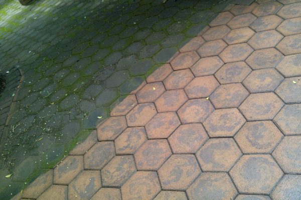 Paving Cleaning Moss Durban
