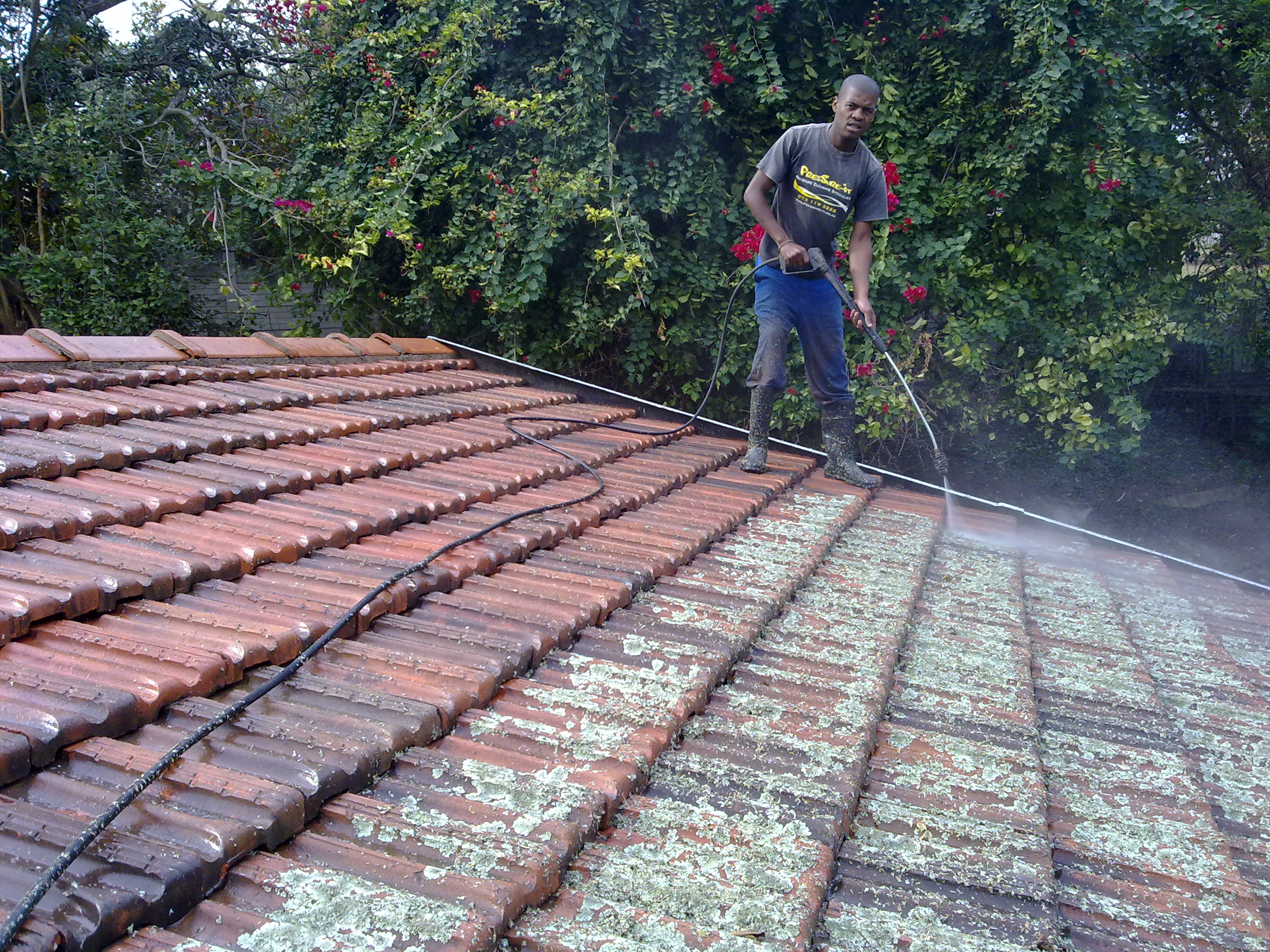 Roof Cleaning Service Near Me The Woodlands Tx