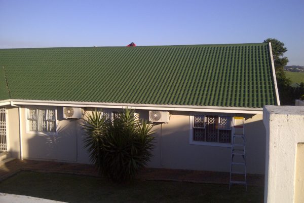 Roof Paint Green Finished