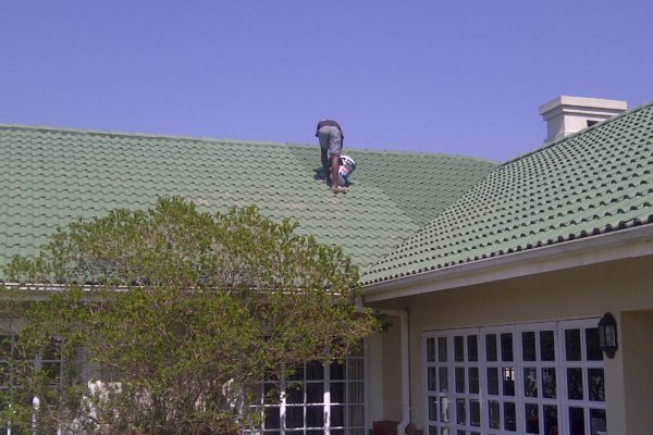 Roof Paint Restoration